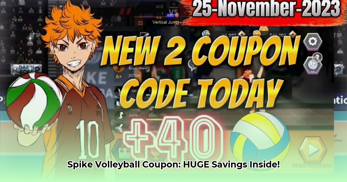 the-spike-volleyball-coupon